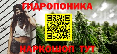 трава Новозыбков