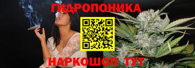 герыч Новодвинск