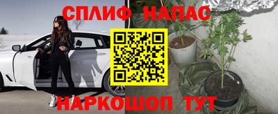 герыч Новодвинск