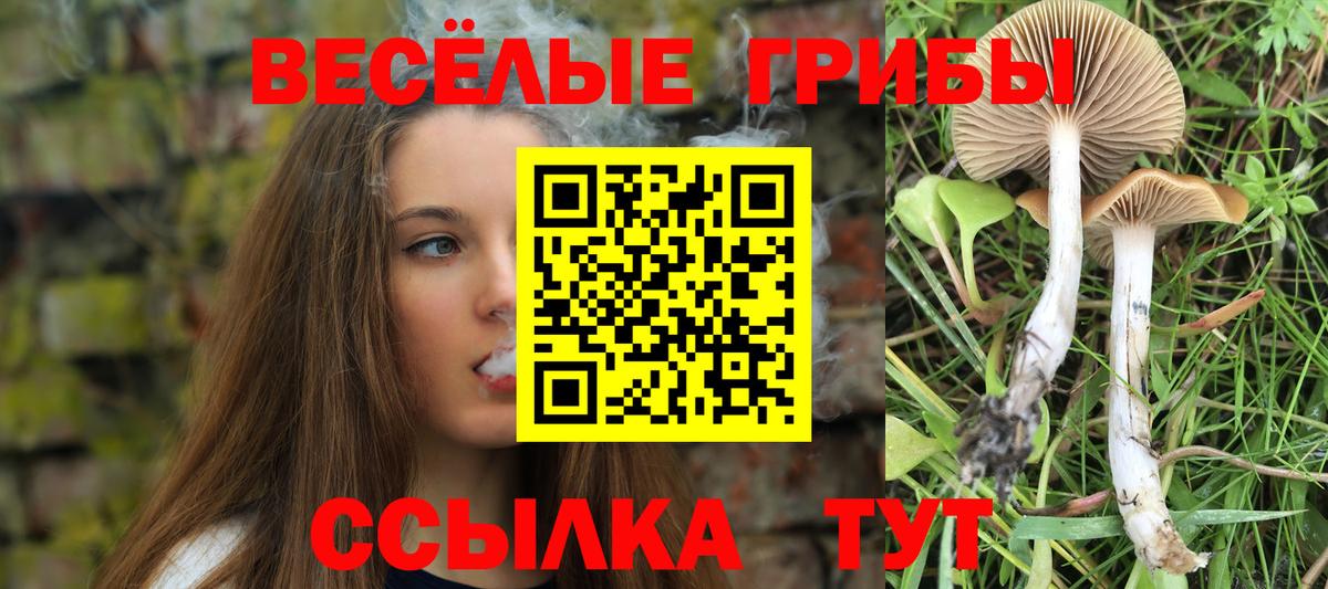 Псилоцибиновые грибы мицелий Асбест