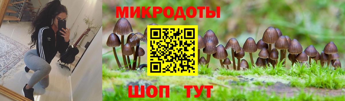 Галлюциногенные грибы Cubensis  Псилоцибиновые грибы MAGIC MUSHROOMS  Вход с VPN  Асбест 